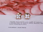 ¡®Dream¡¯STAR AND SUN PINK GOLD MOP STUD EARRINGS
